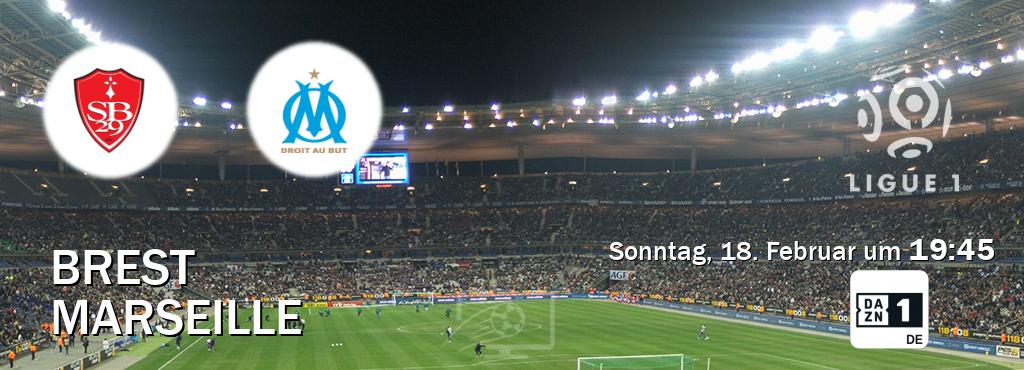 Das Spiel zwischen Brest und Marseille wird am Sonntag, 18. Februar um  19:45, live vom DAZN 1 Deutschland übertragen.