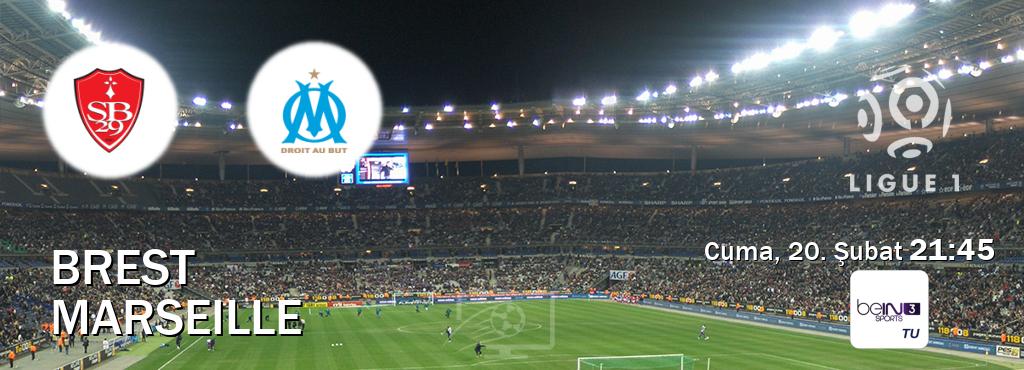 Karşılaşma Brest - Marseille beIN SPORTS 3'den canlı yayınlanacak (Cuma, 20. Şubat  21:45).