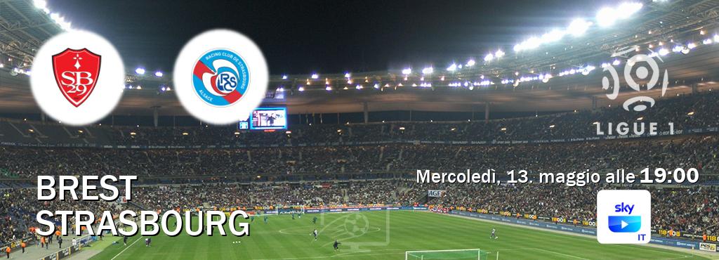 Il match Brest - Strasbourg sarà trasmesso in diretta TV su SKY Go Italia (ore 19:00) Il match Brest - Strasbourg sarà trasmesso in diretta TV su SKY Go Italia (ore 19:00)