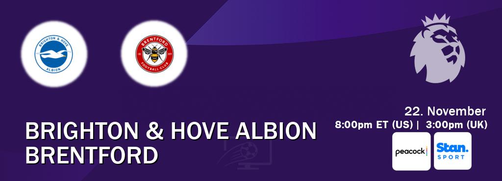 You can watch game live between Brighton & Hove Albion and Brentford on Peacock(US) and Stan Sport(AU).