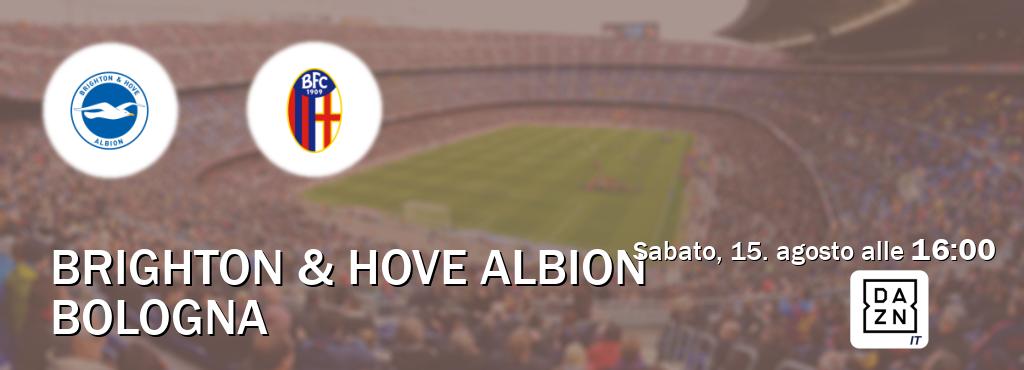 Il match Brighton & Hove Albion - Bologna sarà trasmesso in diretta TV su DAZN Italia (ore 16:00)