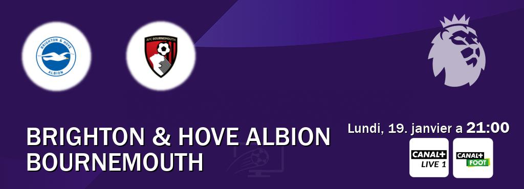 Match entre Brighton & Hove Albion et Bournemouth en direct à la Canal+ Live 1 et Canal+ Foot (lundi, 19. janvier a  21:00).