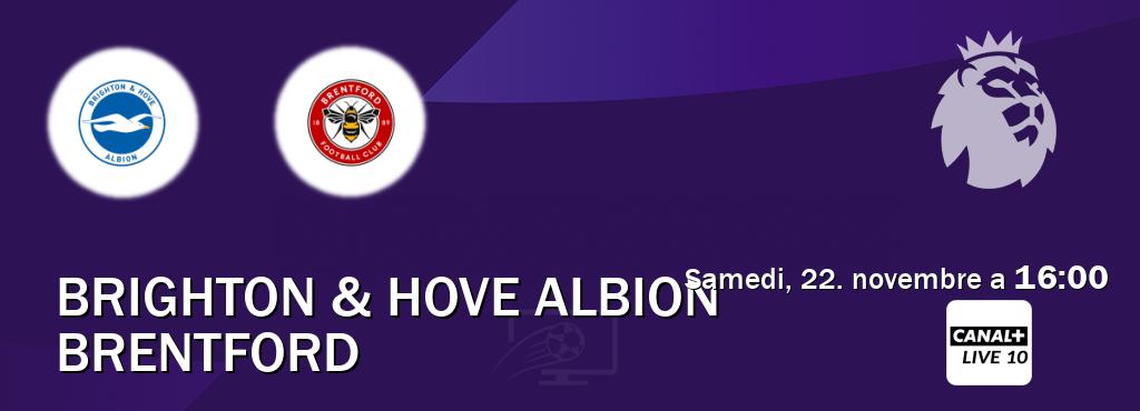 Match entre Brighton & Hove Albion et Brentford en direct à la Canal+ Live 10 (samedi, 22. novembre a  16:00).