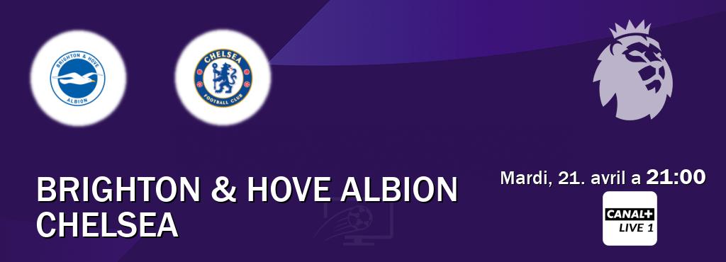 Match entre Brighton & Hove Albion et Chelsea en direct à la Canal+ Live 1 (mardi, 21. avril a  21:00).