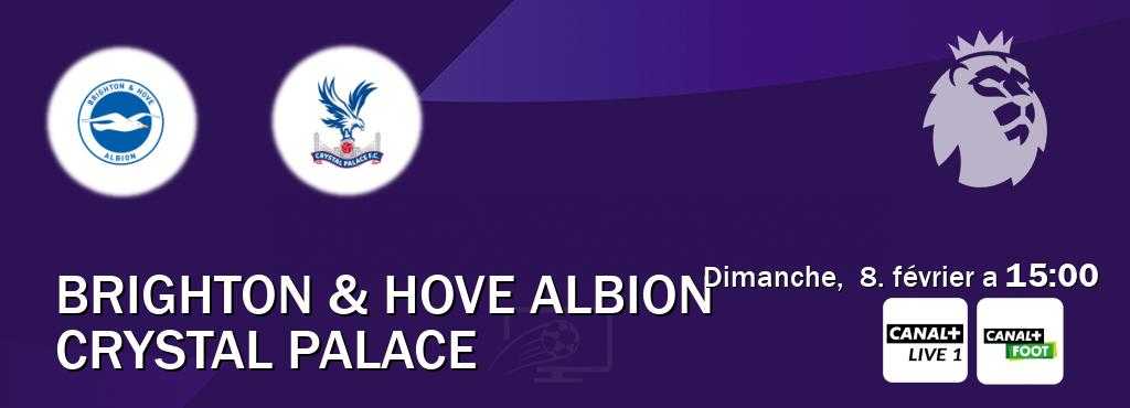 Match entre Brighton & Hove Albion et Crystal Palace en direct à la Canal+ Live 1 et Canal+ Foot (dimanche,  8. février a  15:00).