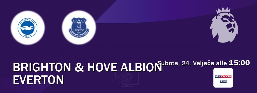 Il match Brighton & Hove Albion - Everton sarà trasmesso in diretta TV su Sky Calcio 7 (ore 15:00)