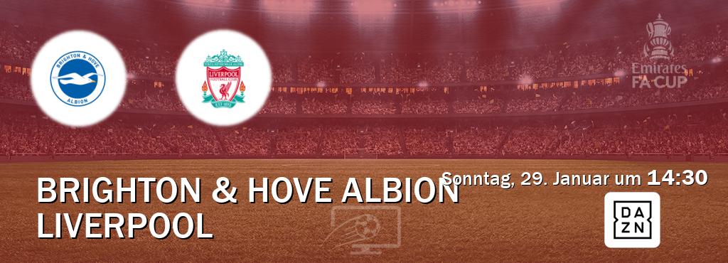 Das Spiel zwischen Brighton & Hove Albion und Liverpool wird am Sonntag, 29. Januar um  14:30, live vom DAZN übertragen.