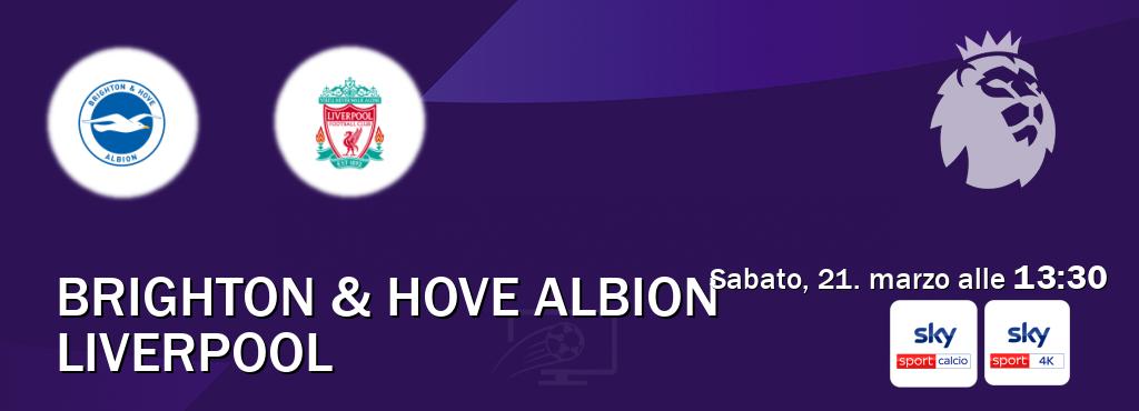Il match Brighton & Hove Albion - Liverpool sarà trasmesso in diretta TV su Sky Sport Calcio e Sky Sport 4K (ore 13:30) Il match Brighton & Hove Albion - Liverpool sarà trasmesso in diretta TV su Sky Sport Calcio e Sky Sport 4K (ore 13:30)