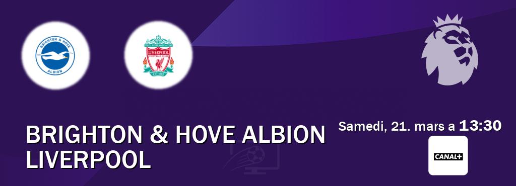 Match entre Brighton & Hove Albion et Liverpool en direct à la Canal+ (samedi, 21. mars a 13:30). Match entre Brighton & Hove Albion et Liverpool en direct à la Canal+ (samedi, 21. mars a 13:30).