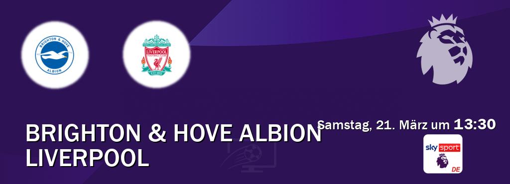 Das Spiel zwischen Brighton & Hove Albion und Liverpool wird am Samstag, 21. März um 13:30, live vom Sky Sport Premier League übertragen. Das Spiel zwischen Brighton & Hove Albion und Liverpool wird am Samstag, 21. März um 13:30, live vom Sky Sport Premier League übertragen.