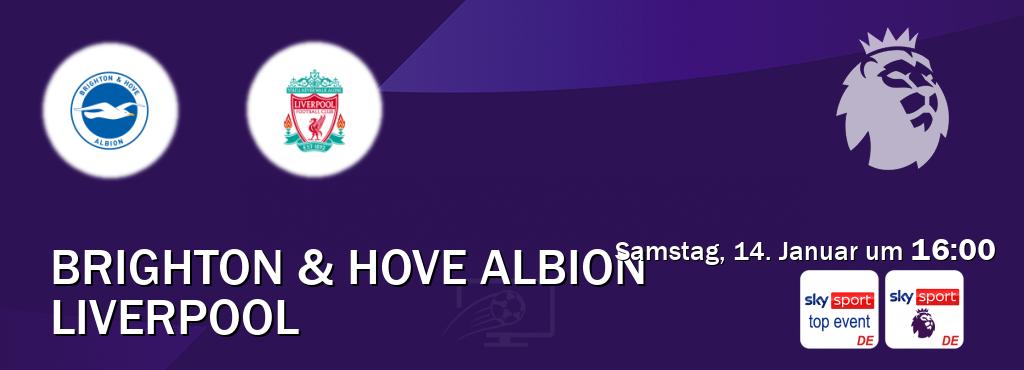 Das Spiel zwischen Brighton & Hove Albion und Liverpool wird am Samstag, 14. Januar um  16:00, live vom Sky Sport Top Event und Sky Sport Premier League übertragen.