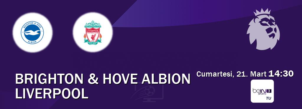 Karşılaşma Brighton & Hove Albion - Liverpool beIN SPORTS 3'den canlı yayınlanacak (Cumartesi, 21. Mart 14:30). Karşılaşma Brighton & Hove Albion - Liverpool beIN SPORTS 3'den canlı yayınlanacak (Cumartesi, 21. Mart 14:30).