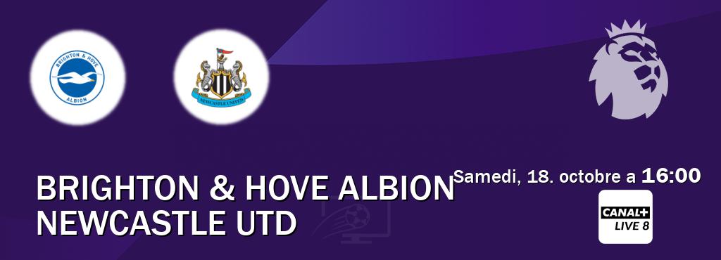 Match entre Brighton & Hove Albion et Newcastle Utd en direct à la Canal+ Live 8 (samedi, 18. octobre a 16:00). Match entre Brighton & Hove Albion et Newcastle Utd en direct à la Canal+ Live 8 (samedi, 18. octobre a 16:00).
