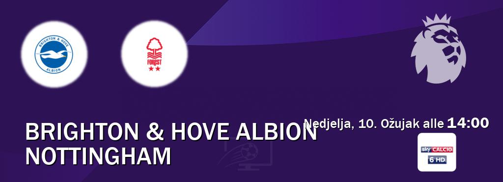 Il match Brighton & Hove Albion - Nottingham sarà trasmesso in diretta TV su Sky Calcio 6 (ore 14:00)