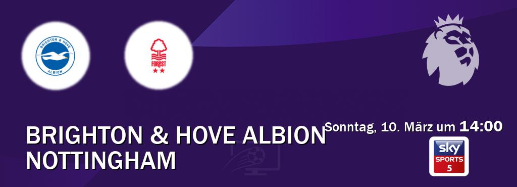 Das Spiel zwischen Brighton & Hove Albion und Nottingham wird am Sonntag, 10. März um  14:00, live vom Sky Sport 5 übertragen.