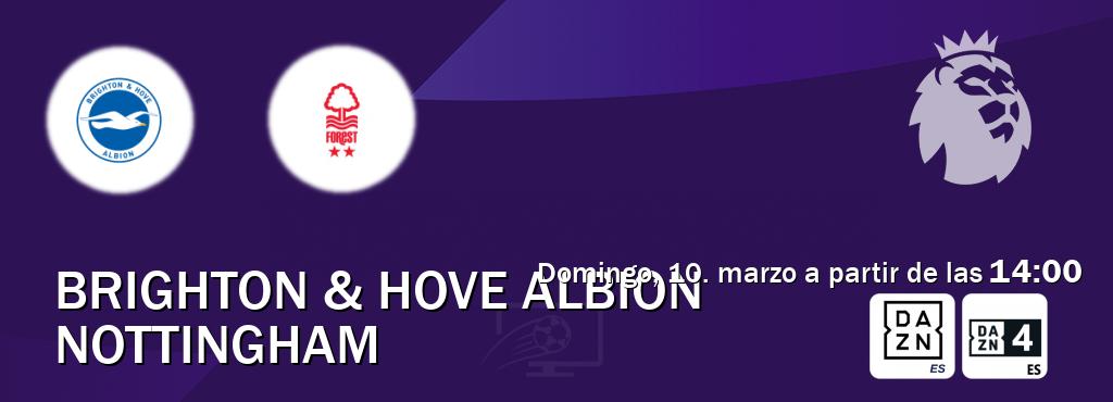 El partido entre Brighton & Hove Albion y Nottingham será retransmitido por DAZN España y DAZN 4 (domingo, 10. marzo a partir de las  14:00).