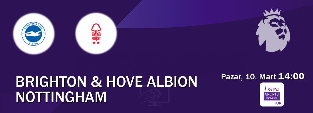 Karşılaşma Brighton & Hove Albion - Nottingham Bein Sports Connect'den canlı yayınlanacak (Pazar, 10. Mart  14:00).