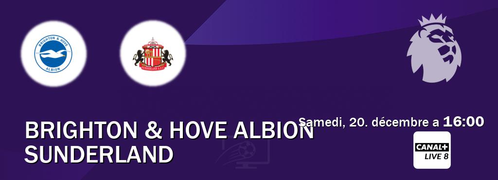 Match entre Brighton & Hove Albion et Sunderland en direct à la Canal+ Live 8 (samedi, 20. décembre a 16:00). Match entre Brighton & Hove Albion et Sunderland en direct à la Canal+ Live 8 (samedi, 20. décembre a 16:00).