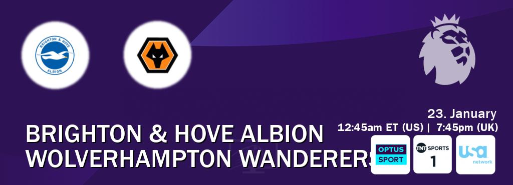 You can watch game live between Brighton & Hove Albion and Wolverhampton Wanderers on Optus sport(AU), TNT Sports 1(UK), USA Network(US).