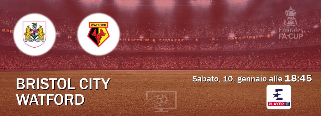 Il match Bristol City - Watford sarà trasmesso in diretta TV su Eurosport Player IT (ore 18:45)