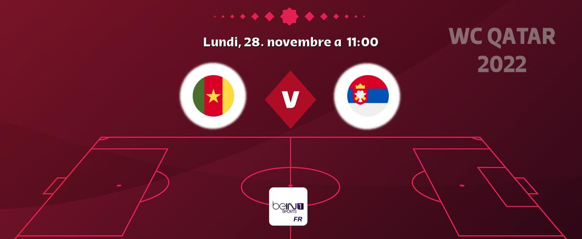 Match entre Cameroun et Serbie en direct à la beIN Sports 1 (lundi, 28. novembre a  11:00).