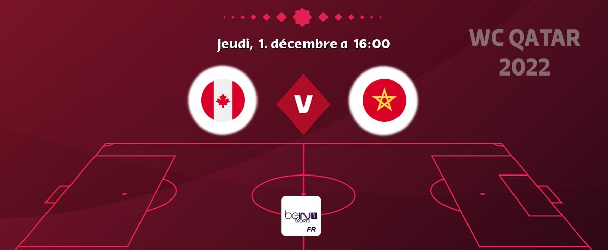 Match entre Canada et Maroc en direct à la beIN Sports 1 (jeudi,  1. décembre a  16:00).