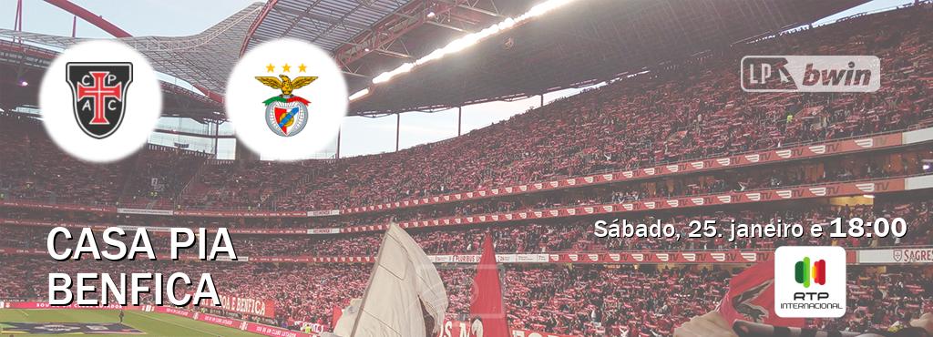 Jogo entre Casa Pia e Benfica tem emissão RTP Internacional (sábado, 25. janeiro e  18:00).