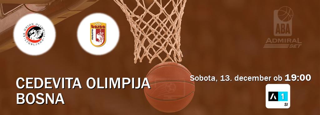 Prenos tekme med Cedevita Olimpija in Bosna v živo na Arena Sport 1 (sobota, 13. december ob  19:00 uri).