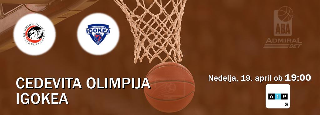 Dvoboj Cedevita Olimpija in Igokea s prenosom tekme v živo na Arena Sport Premium.