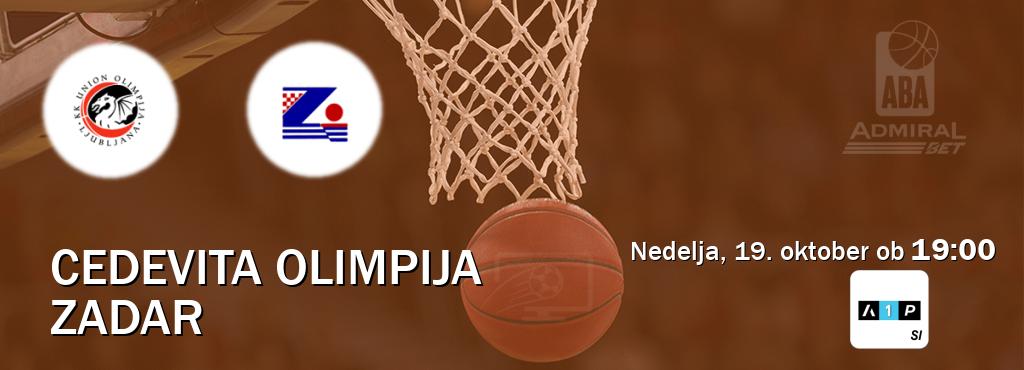 Prenos tekme med Cedevita Olimpija in Zadar v živo na Arena Sport Premium (nedelja, 19. oktober ob 19:00 uri). Prenos tekme med Cedevita Olimpija in Zadar v živo na Arena Sport Premium (nedelja, 19. oktober ob 19:00 uri).