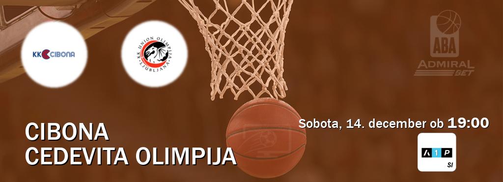 Prenos tekme med Cibona in Cedevita Olimpija v živo na Arena Sport Premium (sobota, 14. december ob  19:00 uri).