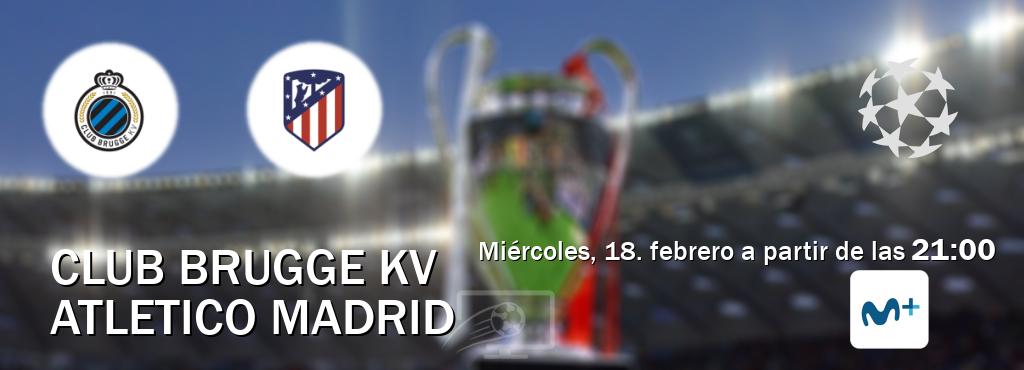 El partido entre Club Brugge KV y Atletico Madrid será retransmitido por Movistar Liga de Campeones  (miércoles, 18. febrero a partir de las  21:00).