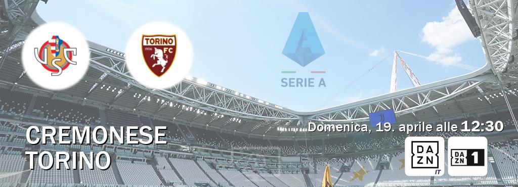 Il match Cremonese - Torino sarà trasmesso in diretta TV su DAZN Italia e Zona DAZN (ore 12:30)
