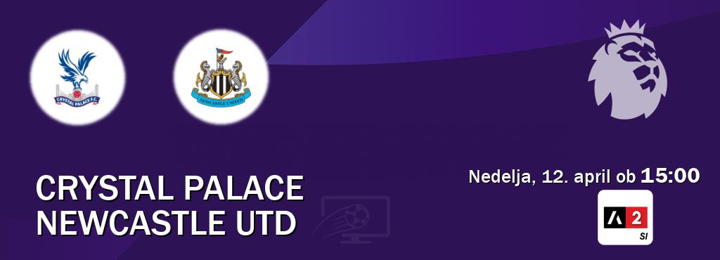 Dvoboj Crystal Palace in Newcastle Utd s prenosom tekme v živo na Arena Sport 2.