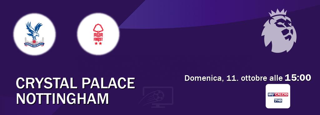Il match Crystal Palace - Nottingham sarà trasmesso in diretta TV su Sky Sport 257 (ore 15:00) Il match Crystal Palace - Nottingham sarà trasmesso in diretta TV su Sky Sport 257 (ore 15:00)