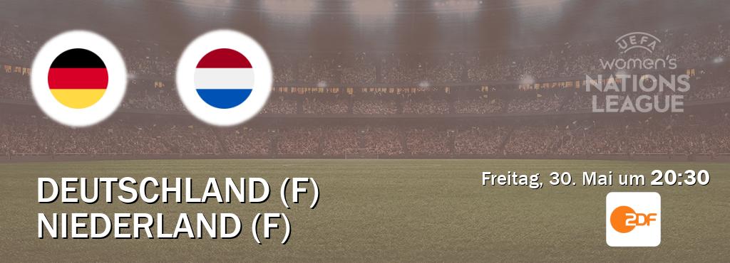 Das Spiel zwischen Deutschland (F) und Niederland (F) wird am Freitag, 30. Mai um 20:30, live vom ZDF übertragen. Das Spiel zwischen Deutschland (F) und Niederland (F) wird am Freitag, 30. Mai um 20:30, live vom ZDF übertragen.