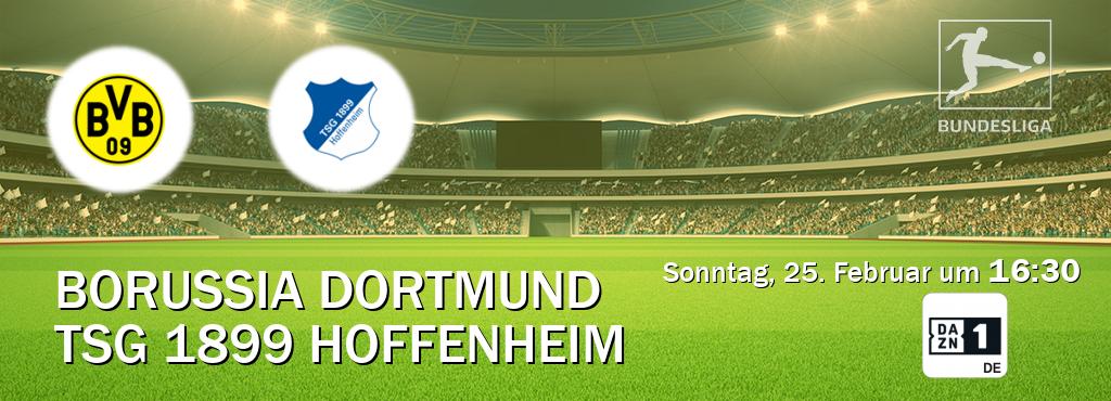 Das Spiel zwischen Borussia Dortmund und TSG 1899 Hoffenheim wird am Sonntag, 25. Februar um  16:30, live vom DAZN 1 Deutschland übertragen.