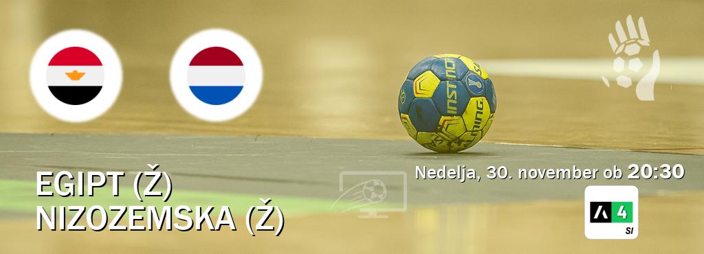 Dvoboj Egipt (Ž) in Nizozemska (Ž) s prenosom tekme v živo na Arena Sport 4.