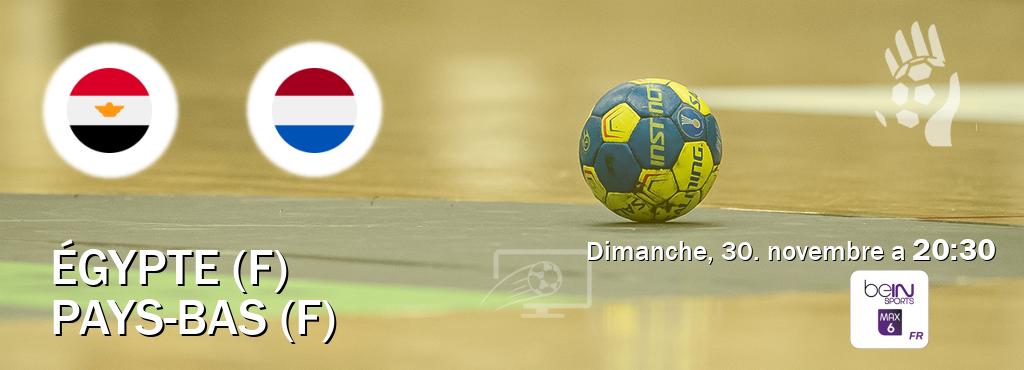 Match entre Égypte (F) et Pays-Bas (F) en direct à la beIN Sports 6 Max (dimanche, 30. novembre a  20:30).
