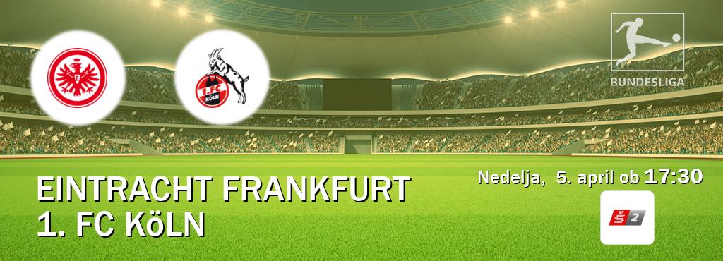 Prenos tekme med Eintracht Frankfurt in 1. FC Köln v živo na Sport TV 2 (nedelja,  5. april ob  17:30 uri).