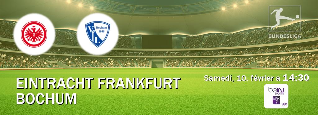 Match entre Eintracht Frankfurt et Bochum en direct à la beIN Sports 7 Max (samedi, 10. février a  14:30).