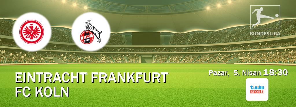 Karşılaşma Eintracht Frankfurt - FC Koln Tivibu Spor 3'den canlı yayınlanacak (Pazar,  5. Nisan  18:30).