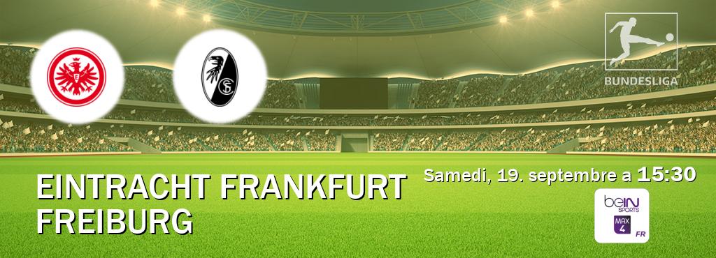 Match entre Eintracht Frankfurt et Freiburg en direct à la beIN Sports 4 Max (samedi, 19. septembre a  15:30).