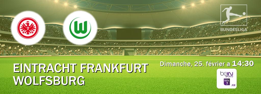 Match entre Eintracht Frankfurt et Wolfsburg en direct à la beIN Sports 7 Max (dimanche, 25. février a  14:30).
