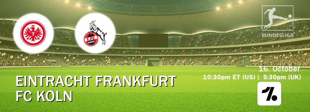 You can watch game live between Eintracht Frankfurt and FC Koln on OneFootball. You can watch game live between Eintracht Frankfurt and FC Koln on OneFootball.