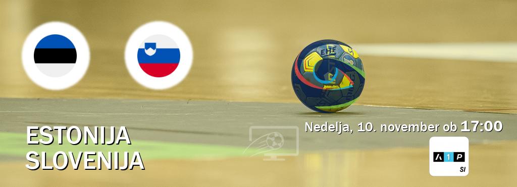 Estonija in Slovenija v živo na Arena Sport Premium. Prenos tekme bo v nedelja, 10. november ob  17:00