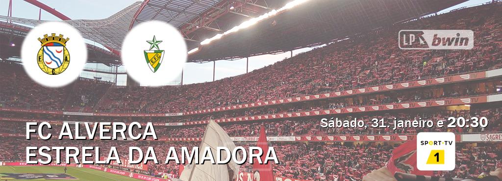 Jogo entre FC Alverca e Estrela da Amadora tem emissão Sport TV 1 (sábado, 31. janeiro e  20:30).