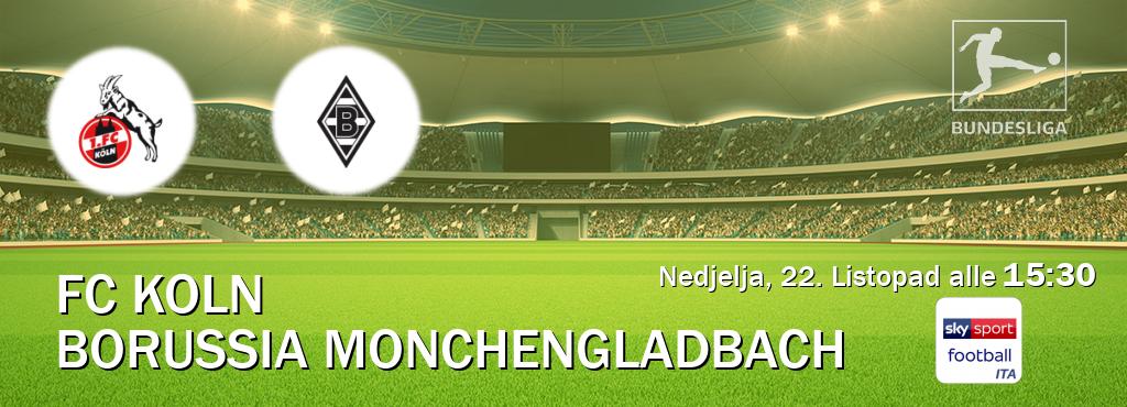 Il match FC Koln - Borussia Monchengladbach sarà trasmesso in diretta TV su Sky Sport Football (ore 15:30)