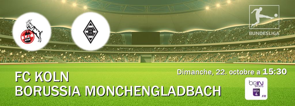 Match entre FC Koln et Borussia Monchengladbach en direct à la beIN Sports 4 Max (dimanche, 22. octobre a  15:30).