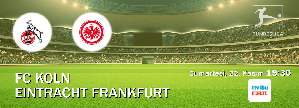 Karşılaşma FC Koln - Eintracht Frankfurt Tivibu Spor 2'den canlı yayınlanacak (Cumartesi, 22. Kasım  19:30).